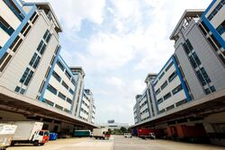 Pandan Crescent (D5), Factory #640252581